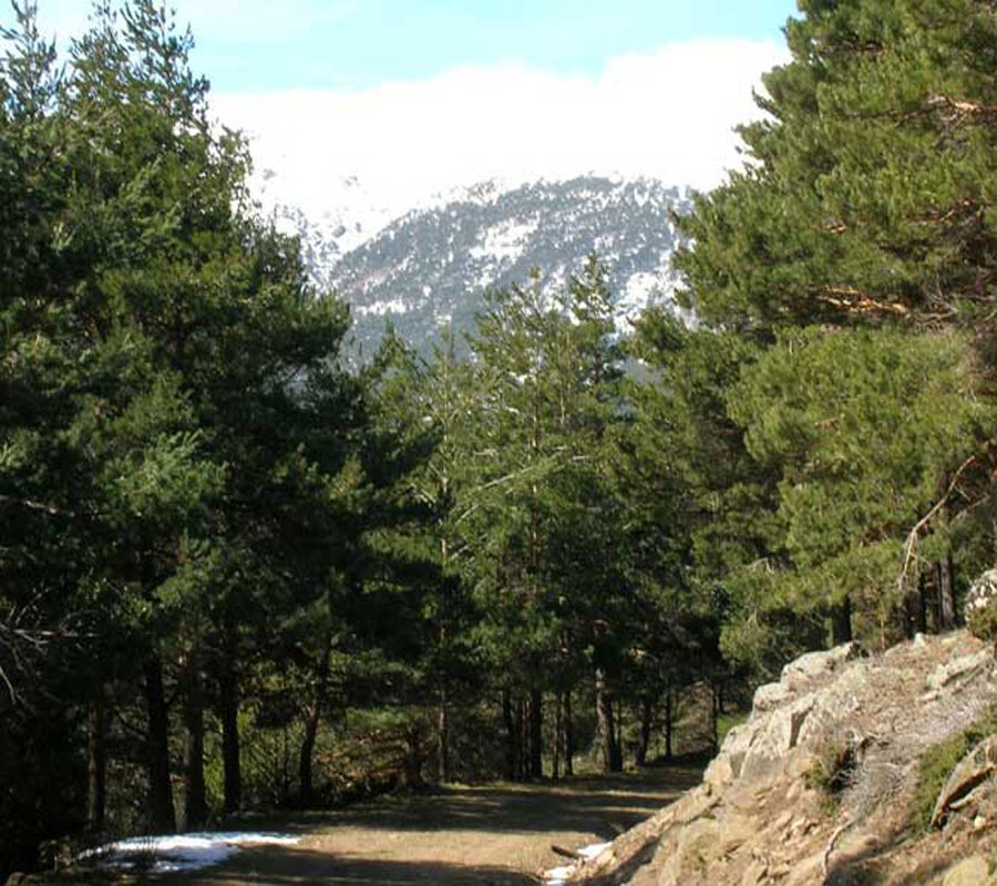 Rutas a pie
para caminar en un entorno de gran belleza