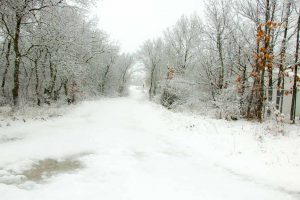 Las Fiestas Navideñas