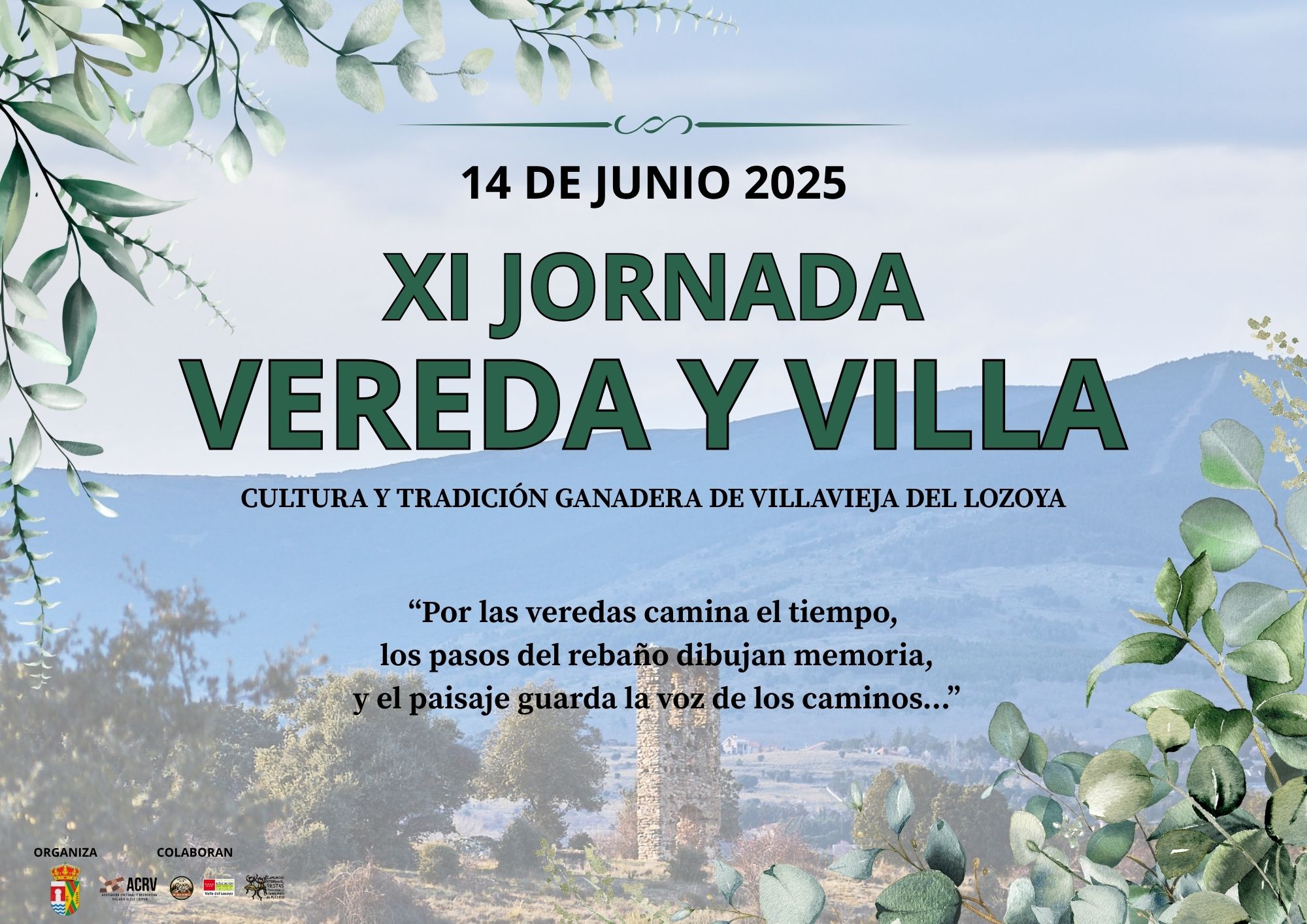 VEREDA Y VILLA Villavieja del Lozoya 2025 1